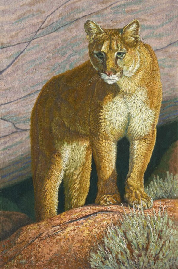 A painting of a mountain lion standing on top of a rock.