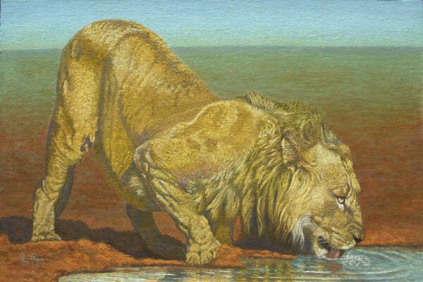 A painting of a lion drinking water from the river.