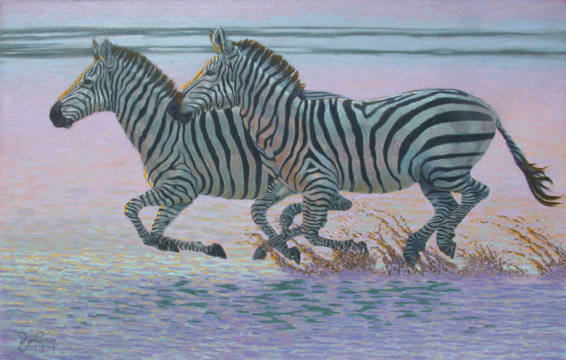 Two zebras are running in the water.