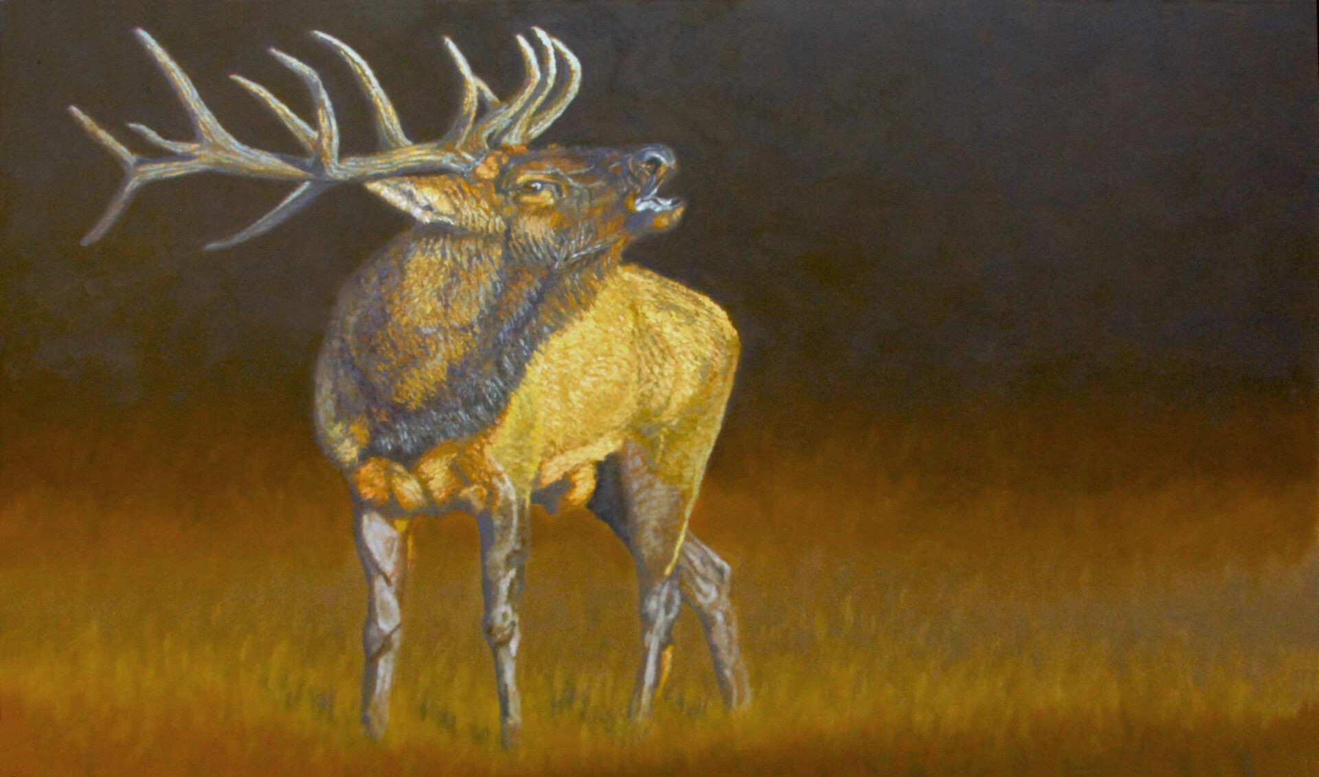 A painting of an elk in the grass.