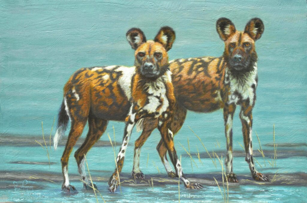 Two hyenas standing in shallow water near a body of water.